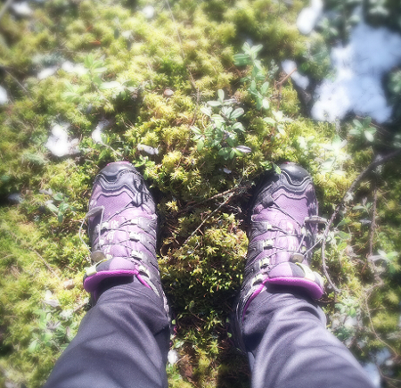 hiihtajat, kesä nilsiän nujakka hiihto